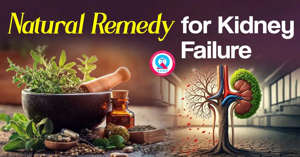 Natural Remedy for Kidney Failure